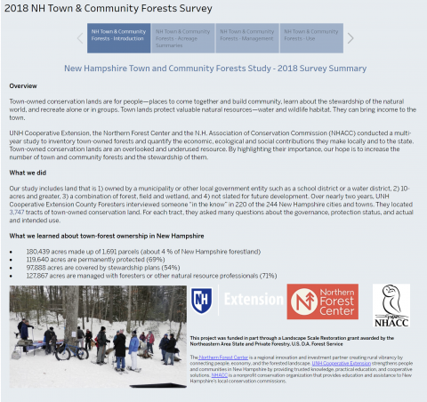 town forest dashboard