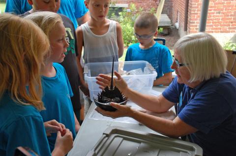 UNH Marine Docent teaching kids about a horseshoe crab
