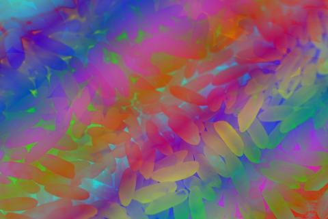 Microbes