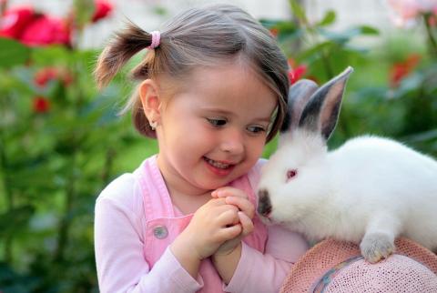 Picture of a girl with a bunny.