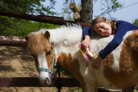 A girl brushing her pony.