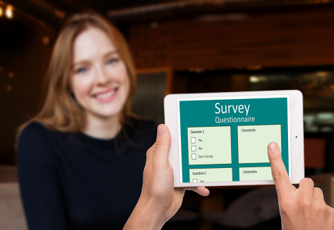 Person conducting a survey