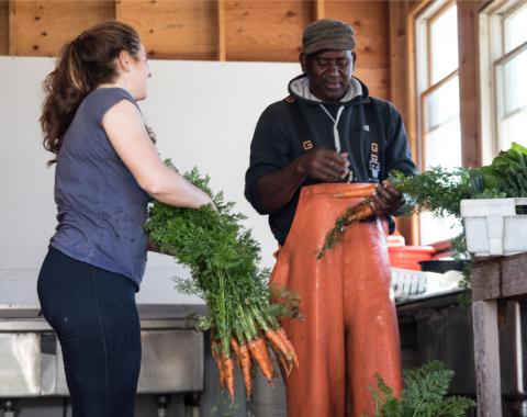 Two people discussing carrots at a farm stand in Stratham NH