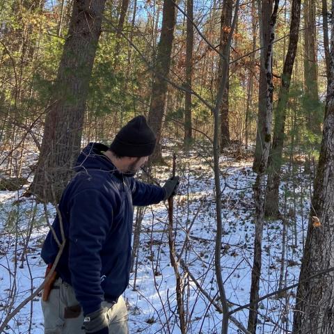 Mike Gagnon showing the group an American Chestnut