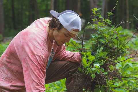 Mechanical Control of Invasive Plants