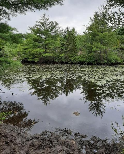 Blue Job mountain pond
