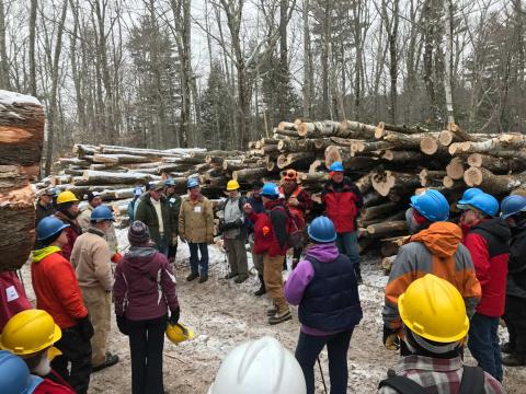 Winter hike and timber harvest demonstration