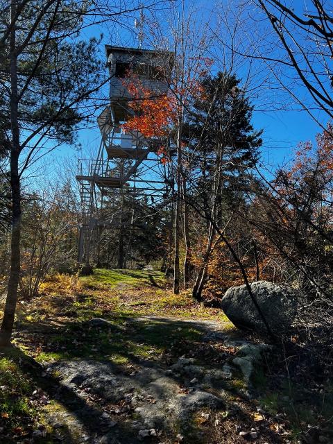 Fire Tower in Big Pines Natural Area