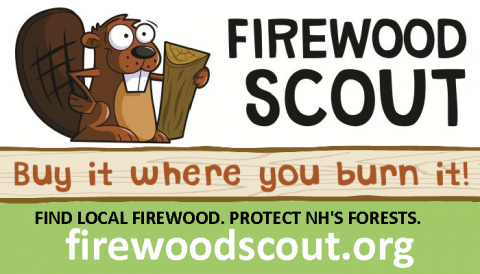 firewood scout logo