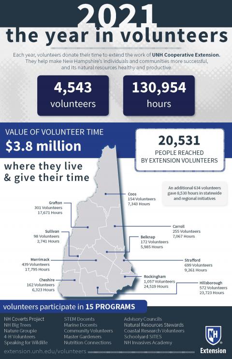 2021 Volunteer Infographic