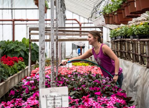 Studley's Florist in Rochester NH