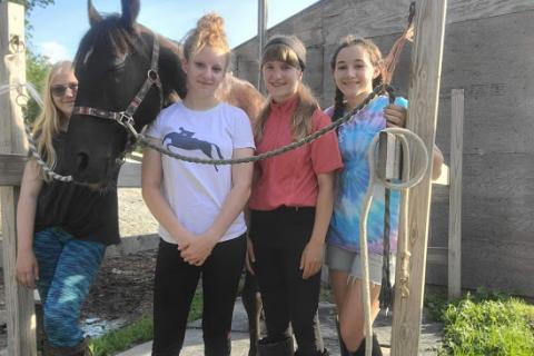 4-H youth with horse