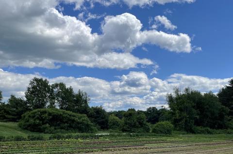 farm, blue skies and clouds
