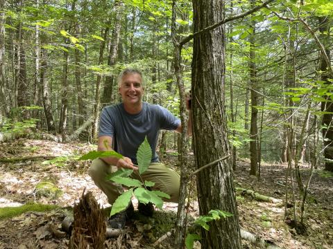 Dode Gladders with an American Chestnut Tree