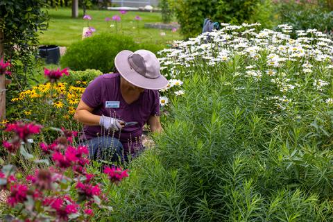 Gardener with flowers