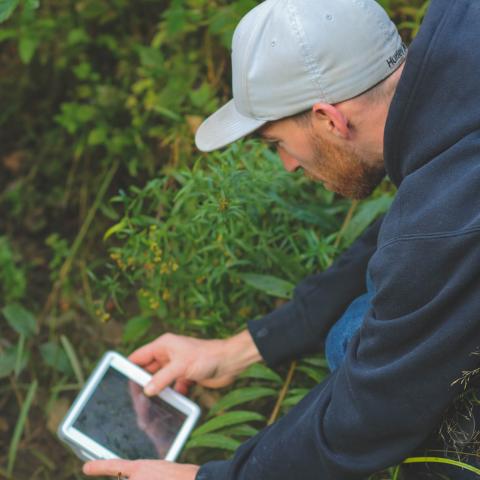 BioBlitz Press Release