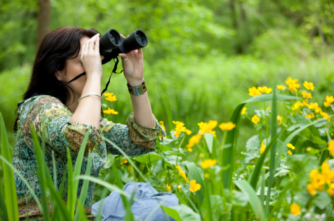 woman with binoculars in yellow flowers