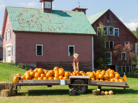 farm stand with pumpkins