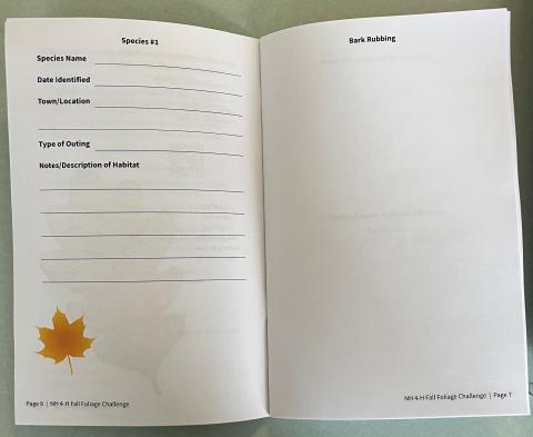 FFC Logbook Inside