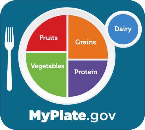 MyPlate graphic