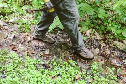 Hiking boots on the trail