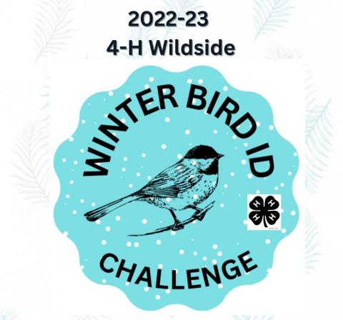 Winter Bird Challenge Cover