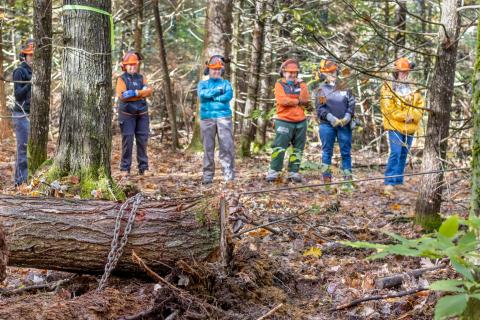 women's tractor logging workshop participants