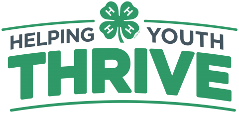 green clover with the words helping youth thrive