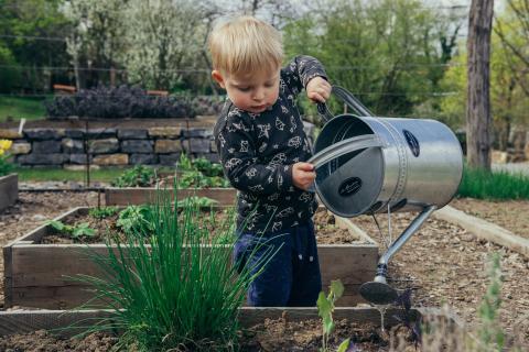 Kid watering plants