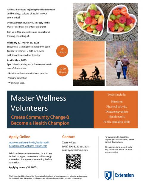 Master Wellnes Volunteer Flyer with Information