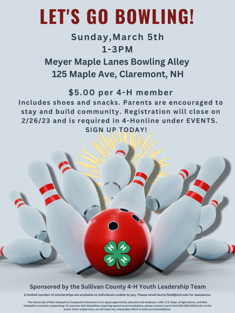 SC Bowling 2