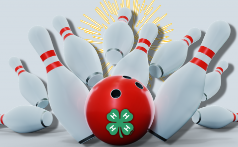 SC Bowling