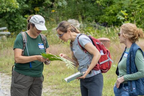 Invasive ID class