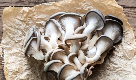 Mushrooms