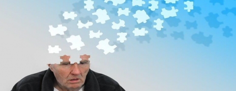 brain and memory