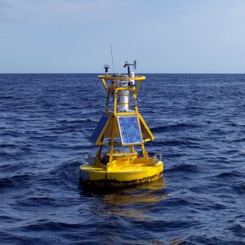 neracoos buoy