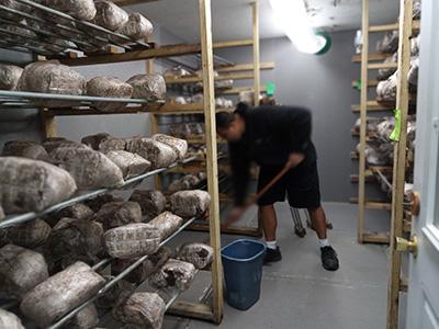 Person scrubbing store room floor