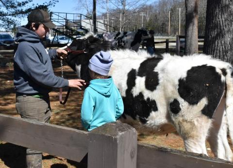 Beef and Dairy Field Day