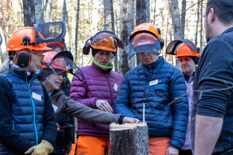women looking at recently felled tree