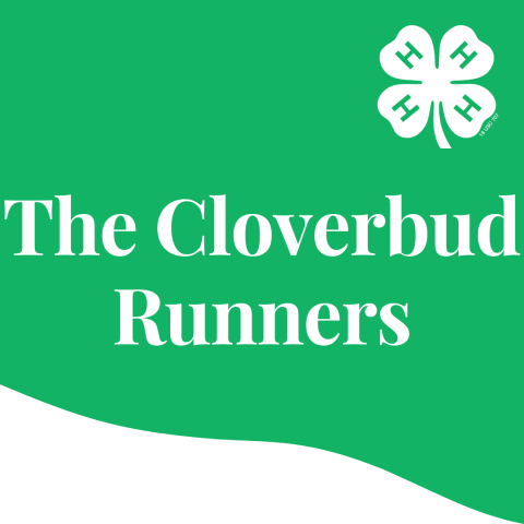 cloverbud runners