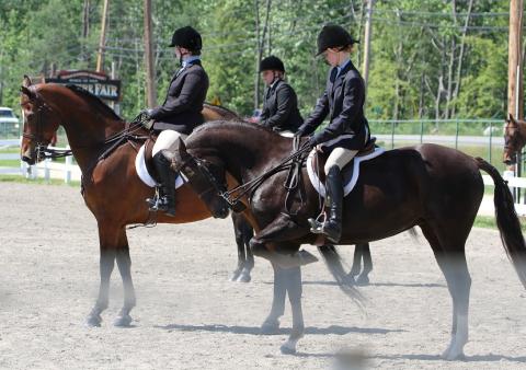 Horse Show