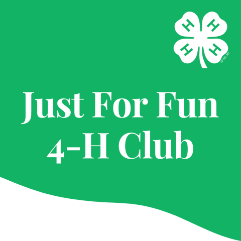 Just for fun 4-H club
