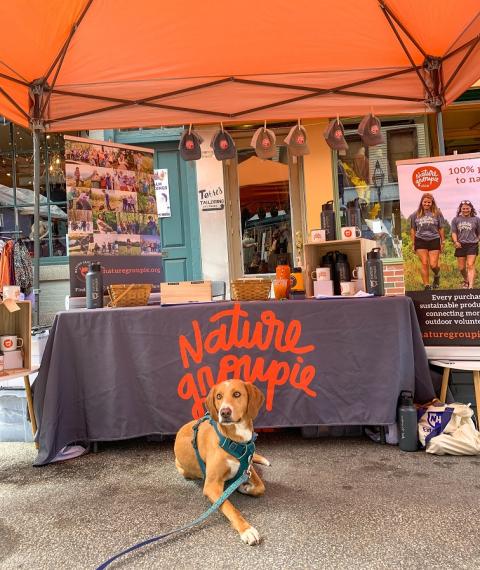 Dog laying in front of Nature Groupie vendor booth