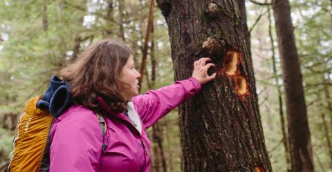women touching a tree with pileated woodpecker holes