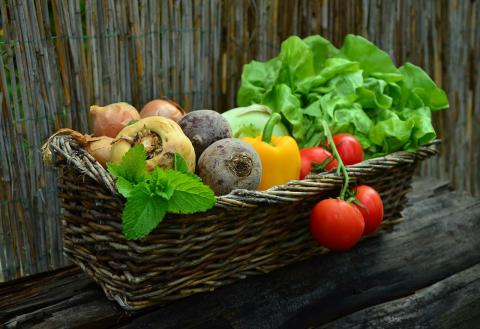 Basket of fresh vegetables