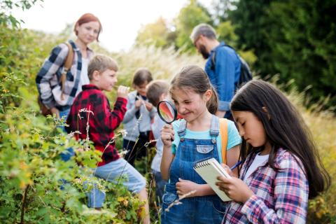 Teachers watching students in a field