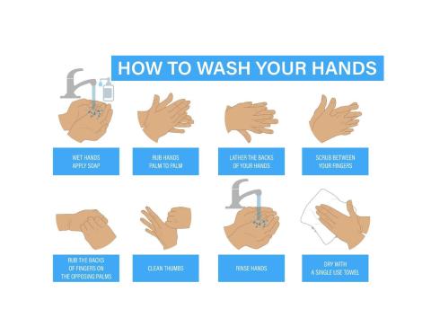 How to Wash Your Hands Graphic