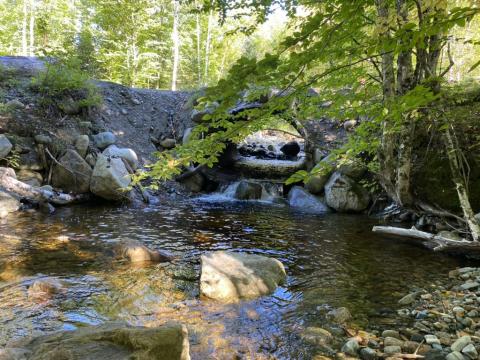 perched culvert