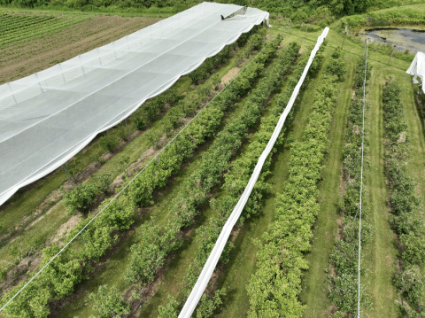 Bird proof net, escape proof net, greenhouse, vegetable farming