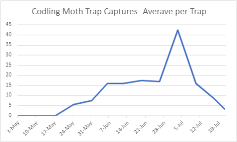 Figure 7: Codling moth trap captures for Merrimack County